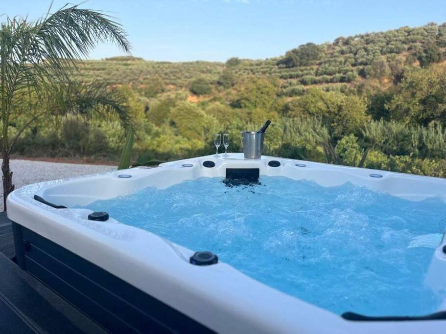 Ek Ornelakis, Luxury Country House With Jacuzzi 干尼亞 外观 照片